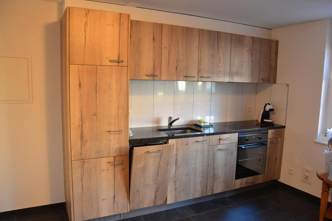 Chemihuettli Apartments Axalp Buitenkant foto