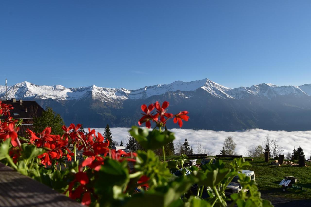 Chemihuettli Apartments Axalp Buitenkant foto
